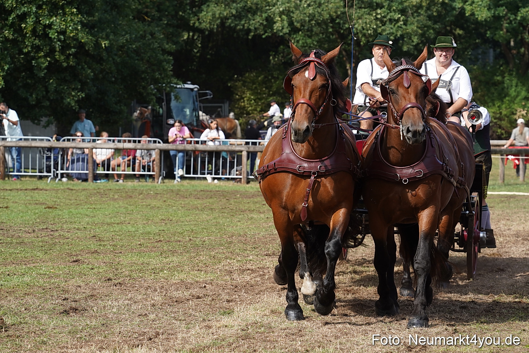 Pferde und Fohlenschau 2022 0227 